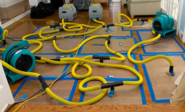 Professional Sewage Cleanup technician working in Cambridge, OH